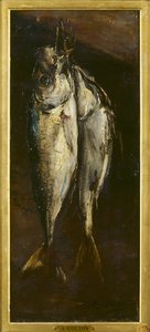 Fisk